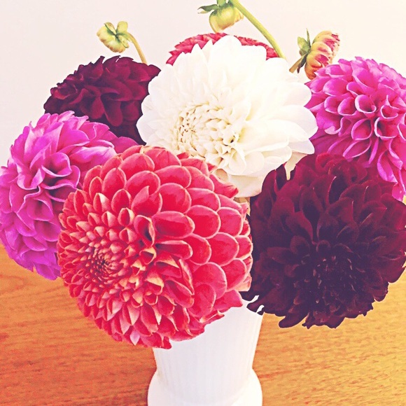 Meet your Posher, Kristna - Picture 1 of 1